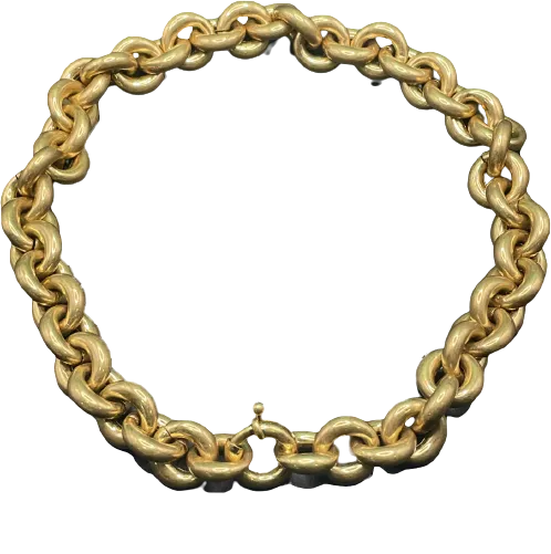 Anine Bing Metallic X Mvb - Chunky Gold Rope Link Necklace