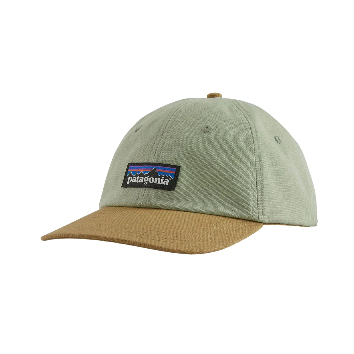 Cappello Patagonia P-6 Label Trad Cap Salvia