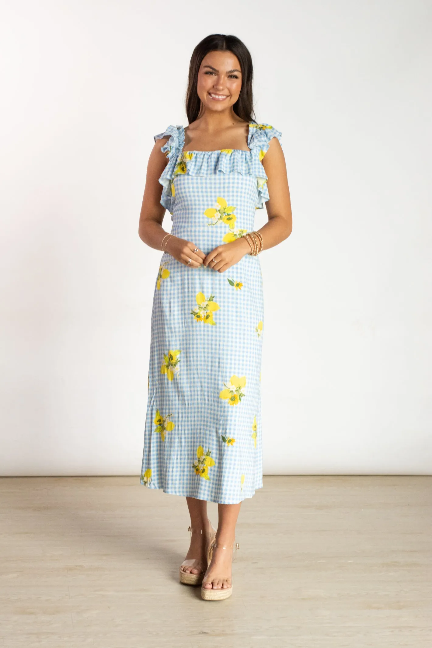 Garden Party Blue Gingham Dress