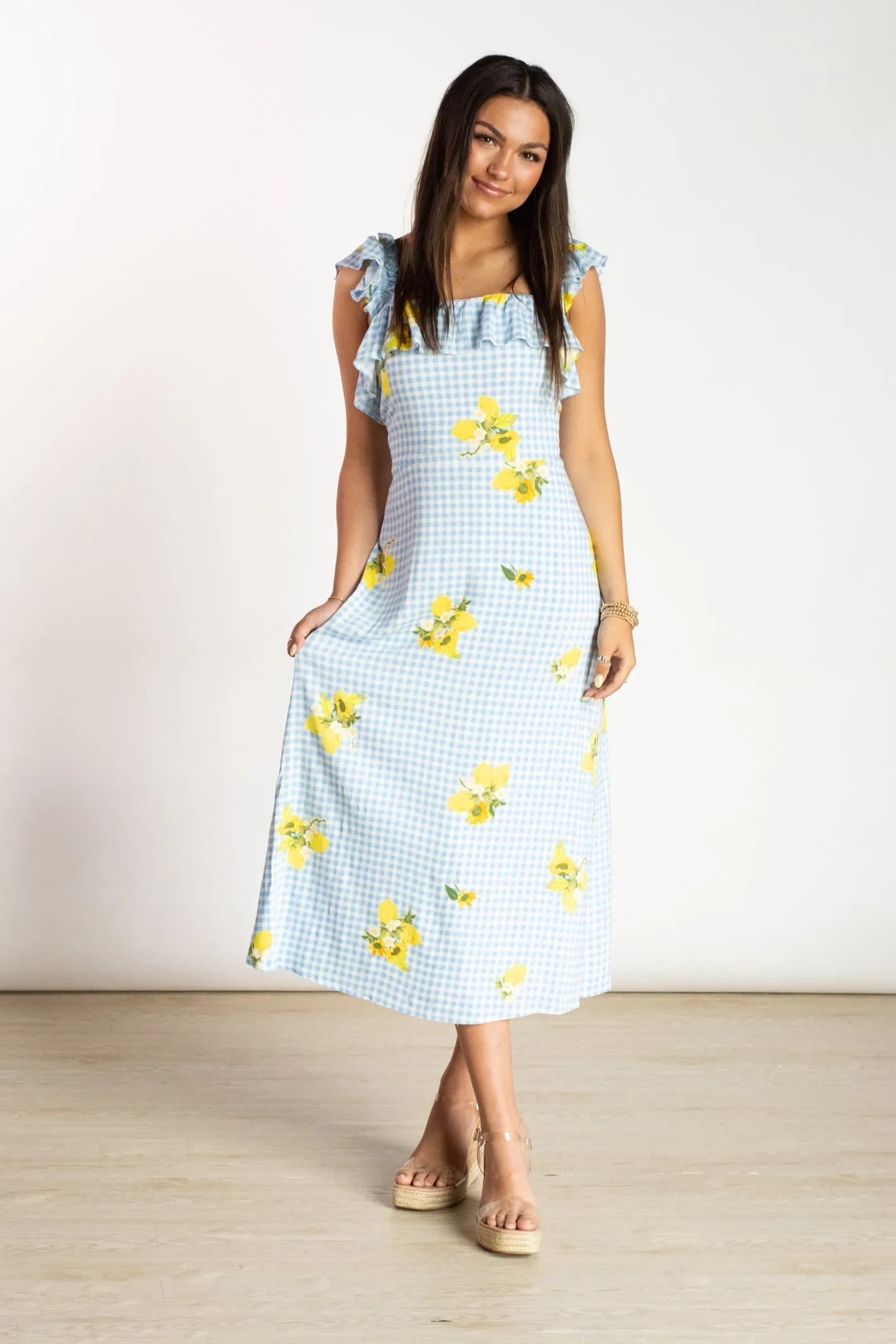 Garden Party Blue Gingham Dress