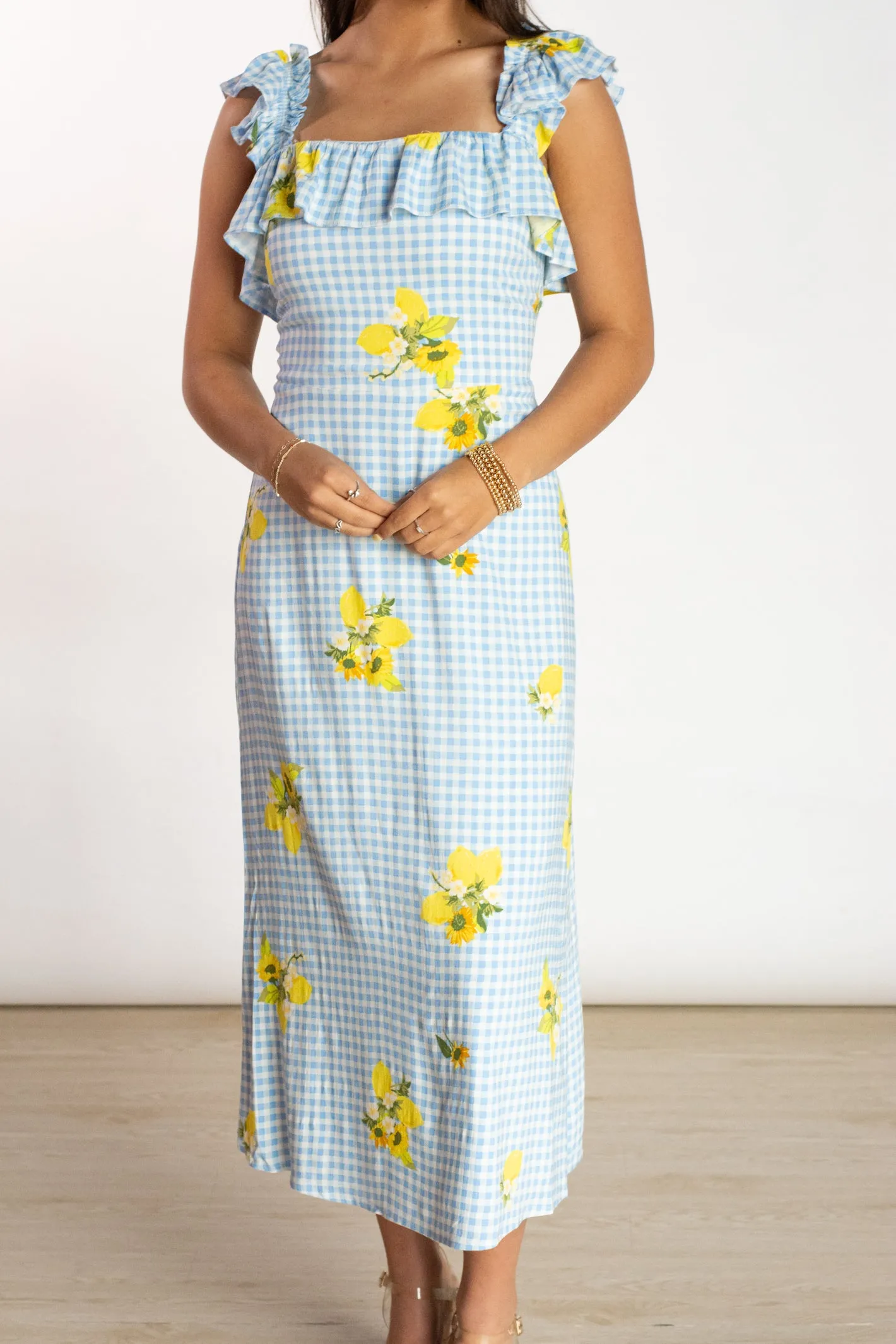 Garden Party Blue Gingham Dress