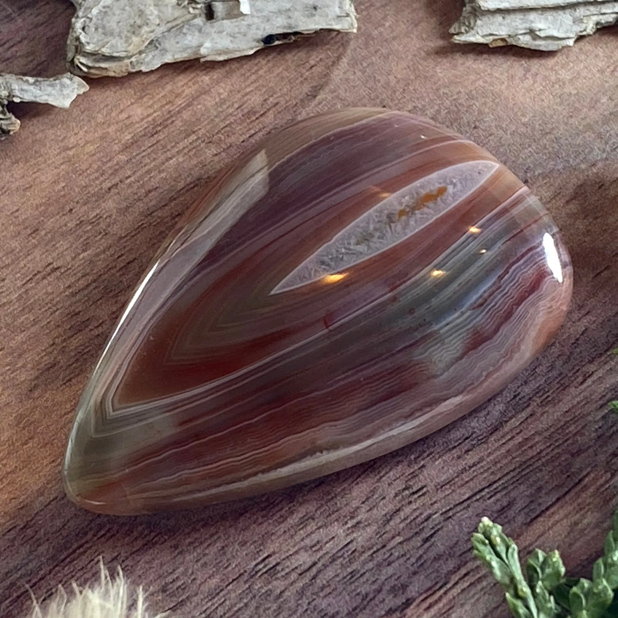 Patagonia Agate Cabochon