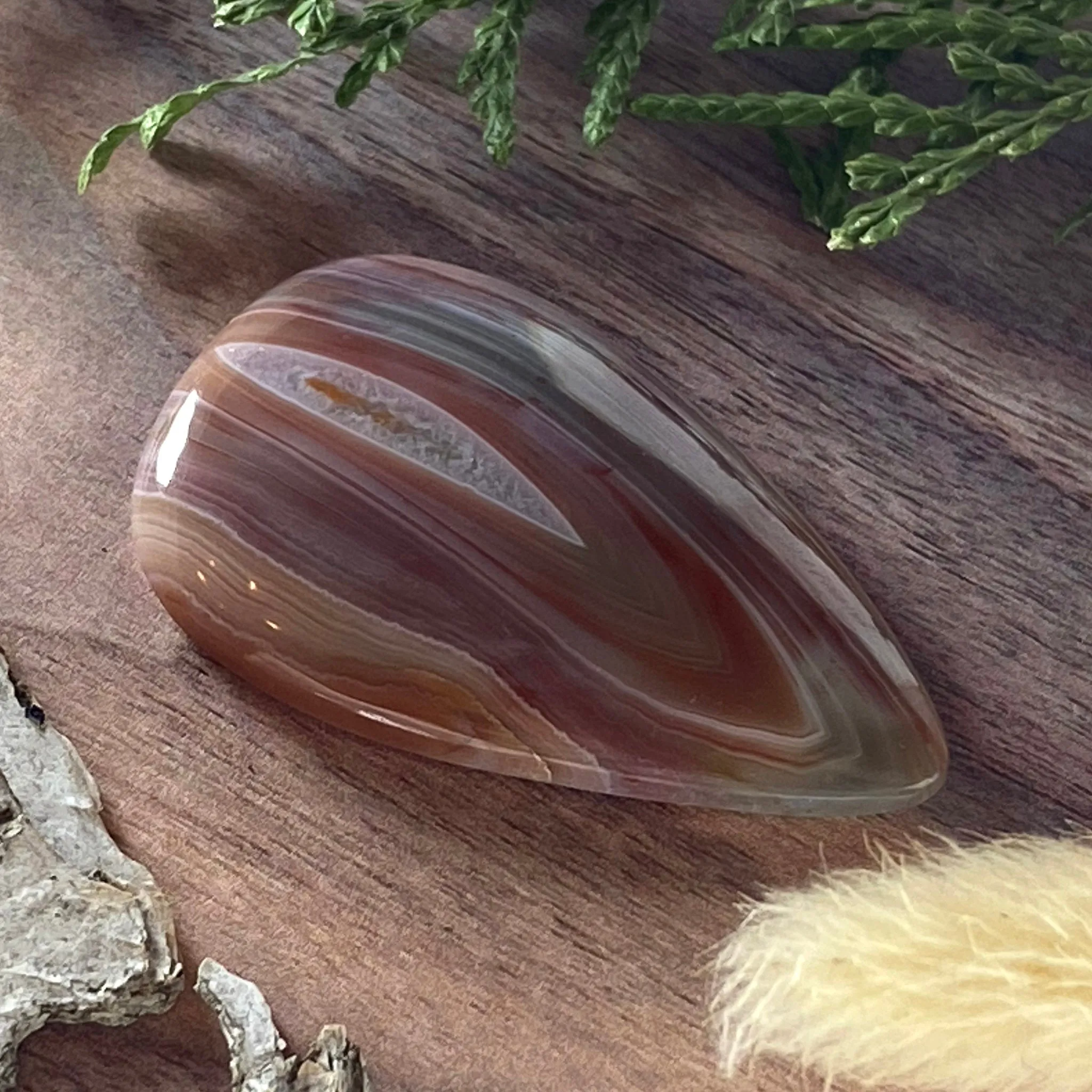 Patagonia Agate Cabochon