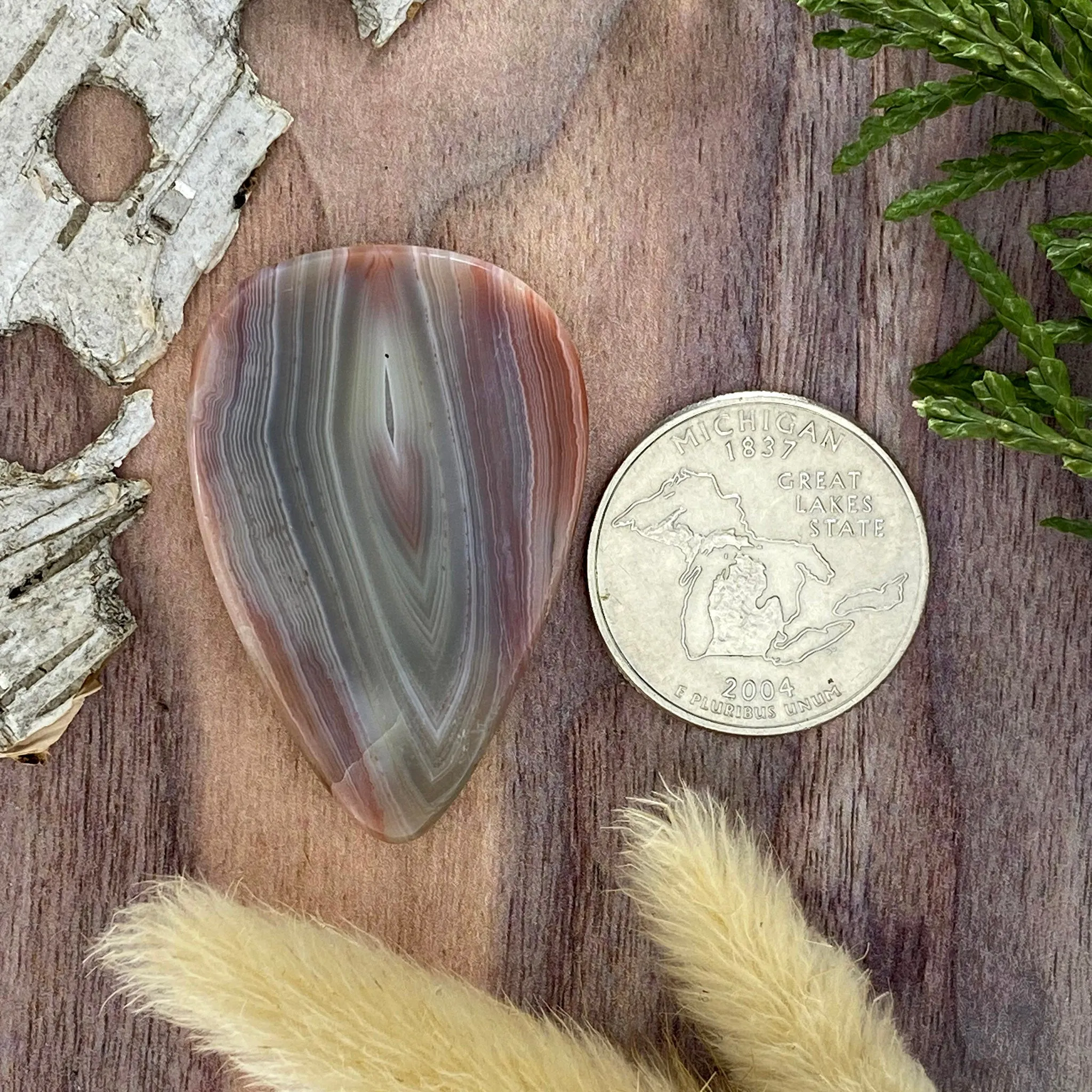 Patagonia Agate Cabochon